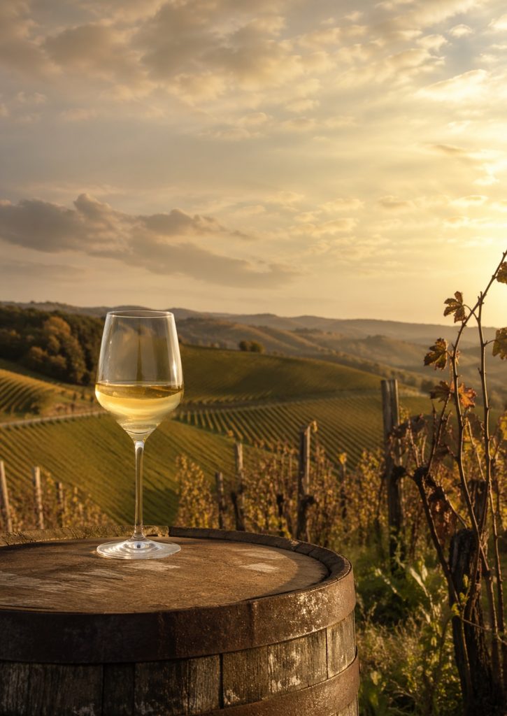 Sonnenuntergang in einem Südsteirischen Weinberg. Auf einem alten Fass steht ein trinkfrisches Glas Weißwein. Die Stimmung ist angesichts der Weinkrise zwiespältig.